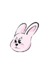 캰 ߺ°